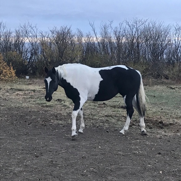 Meet your Posher, Kaitlin - Picture 1 of 1